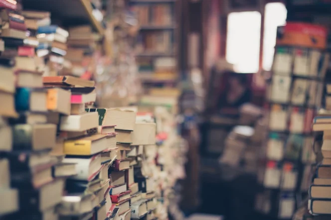 
					Mengapa Buku Digital Semakin Populer? Meninjau Fenomena Literasi di Era Digital