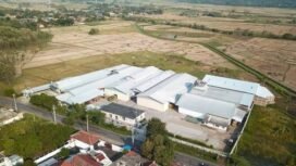 PT Widodo Makmur Perkasa