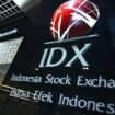 Bursa Efek Indonesia