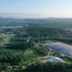 PT Eagle High Plantations Tbk (BWPT)