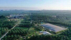 PT Eagle High Plantations Tbk (BWPT)