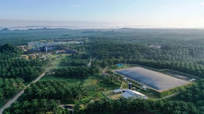 
					PT Eagle High Plantations Tbk (BWPT)