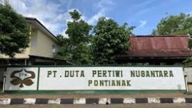 PT Duta Pertiwi Nusantara Tbk (IDX: DPNS)