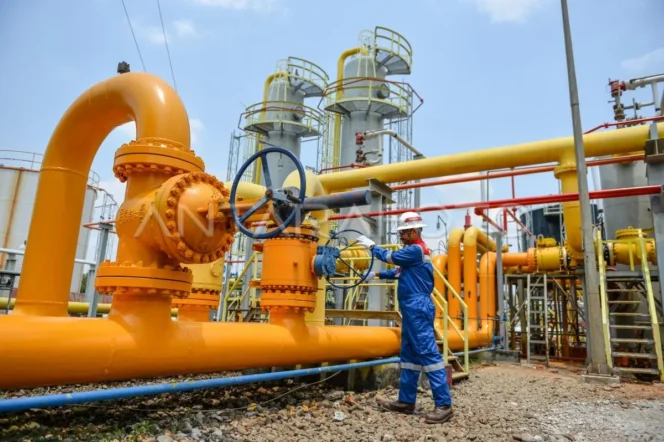 
					PT Oxala Energy International Tbk (PIPA)