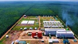 PT Triputra Agro Persada Tbk (TAPG),