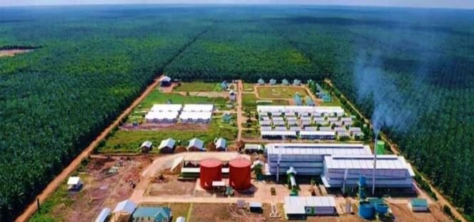 
					PT Triputra Agro Persada Tbk (TAPG),