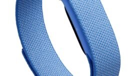 Fitbit Air