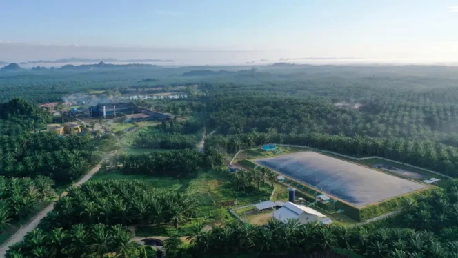 
					PT Eagle High Plantations Tbk (Perseroan)
