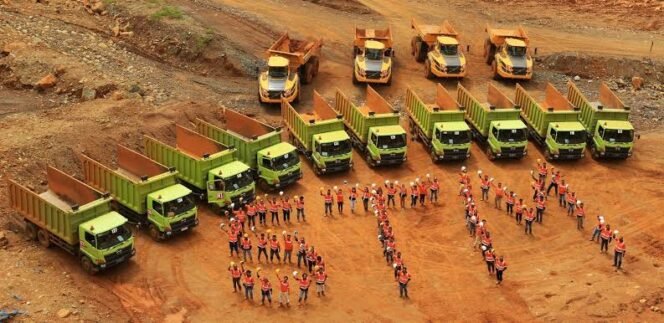 
					PT Sinar Terang Mandiri Tbk
