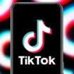 Platform media sosial TikTok