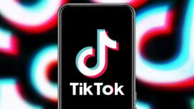 Platform media sosial TikTok