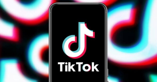 
					Platform media sosial TikTok