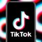 Platform media sosial TikTok