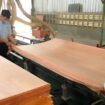 PT Wijaya Cahaya Timber Tbk (IDX: FWCT)