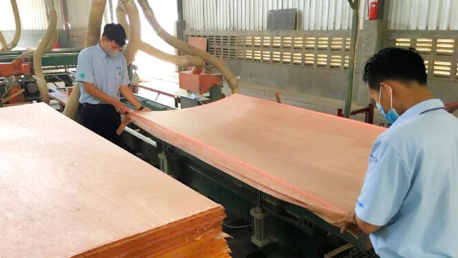 
					PT Wijaya Cahaya Timber Tbk (IDX: FWCT)